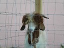 DSCN0085
