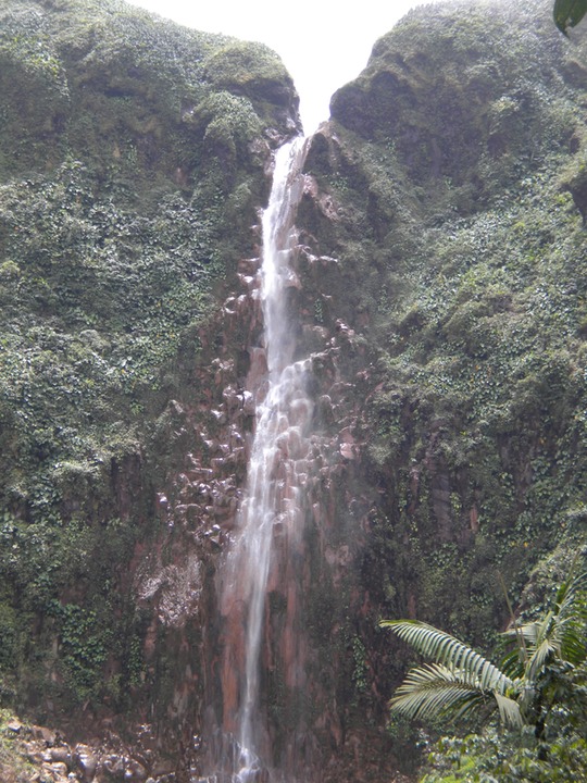 DSCN0227
