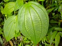 DSCN0237