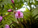 DSCN0238