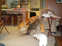 DSCN0339