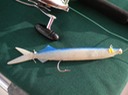 DSCN0576