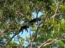 IMG_0436