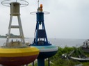 P1000052