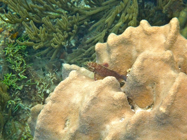 P1000054