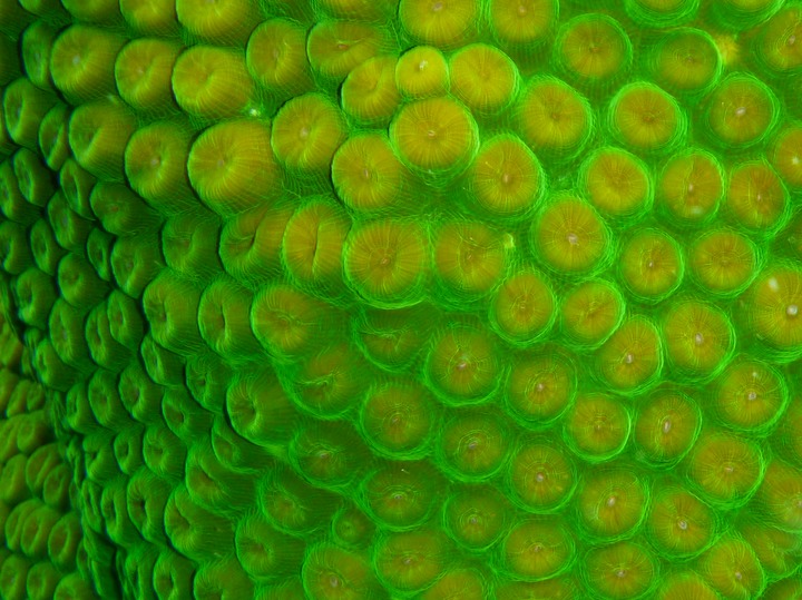 P1000066