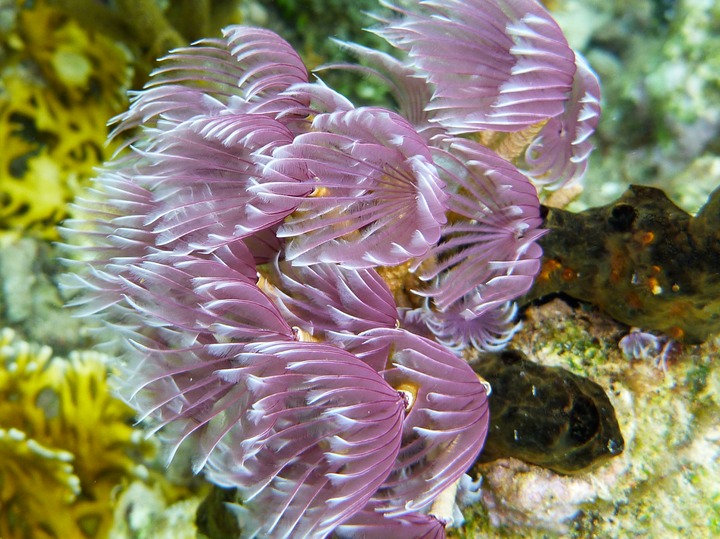 P1000087