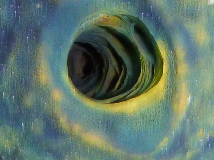 P1000121