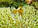 P1000174
