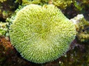 P1000175