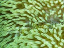 P1000176