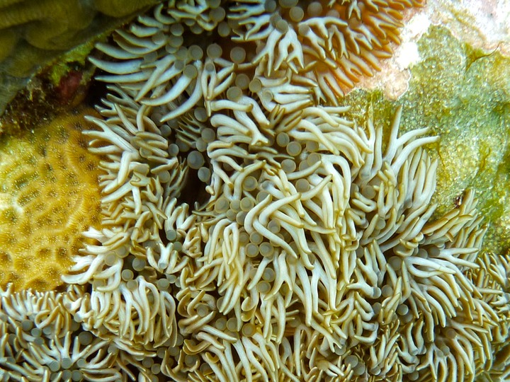 P1000200