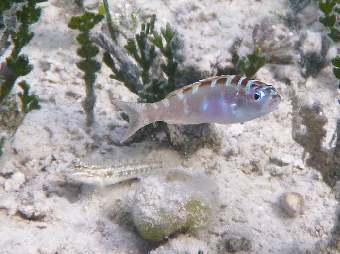 P1000464