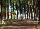 P1000495