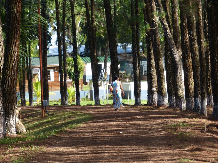 P1000495