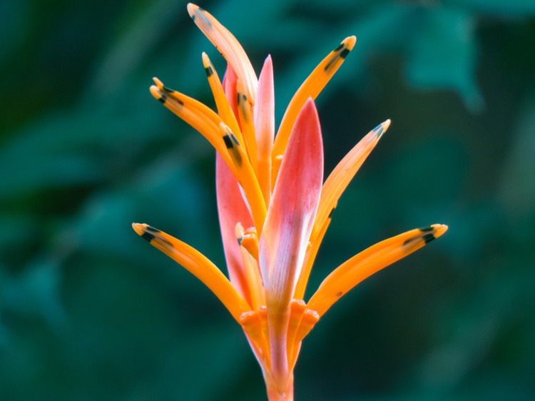P1000526