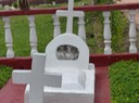 P1000705