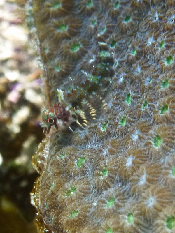 P1000788