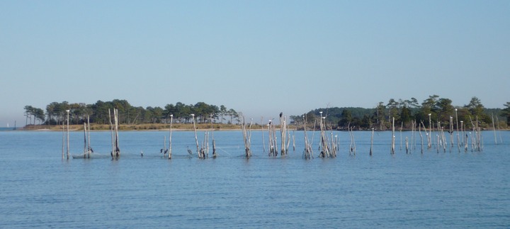 P1000849