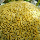 P1000895