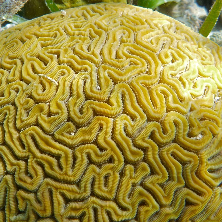 P1000895