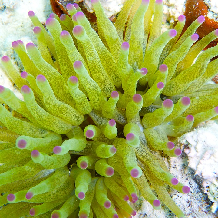 P1010091