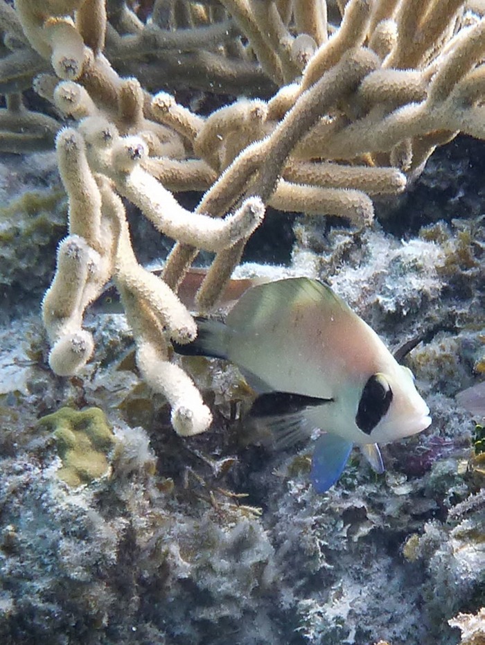 P1010259