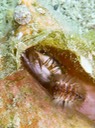 P1010357
