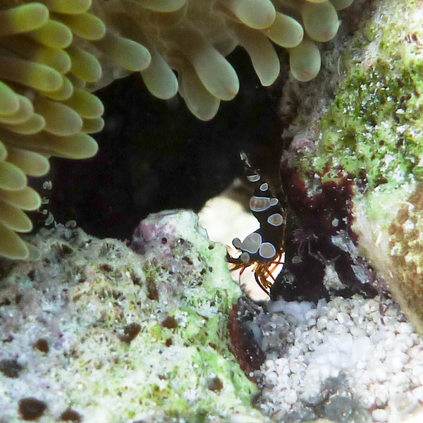 P1010479