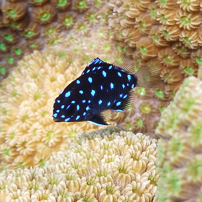 P1010501