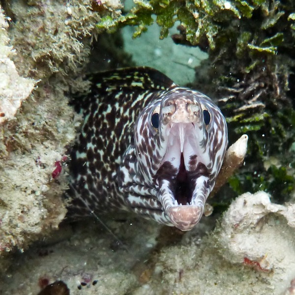 P1010790