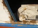 P1010935