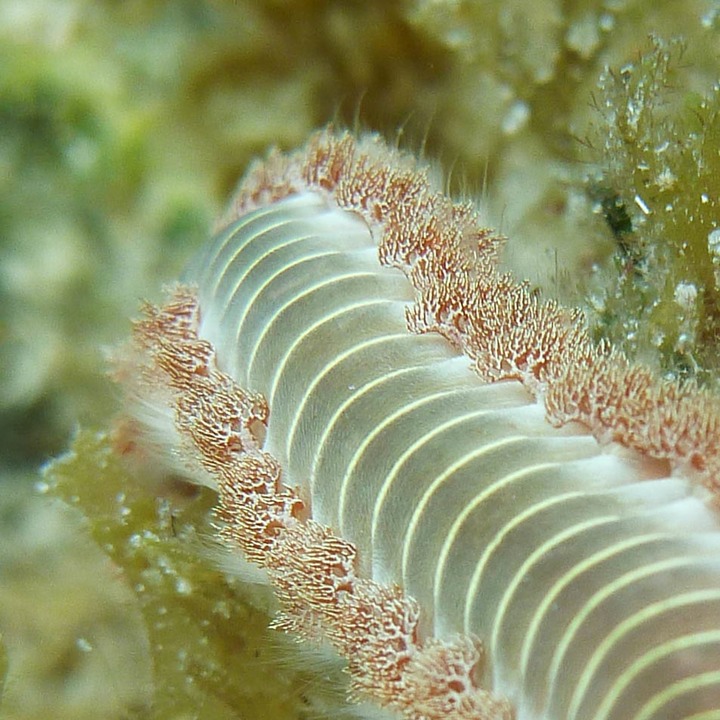 P1010961-2
