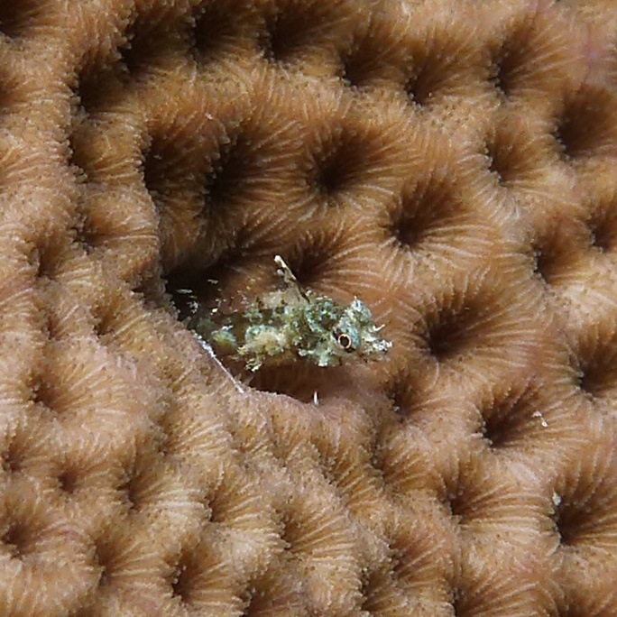 P1010999