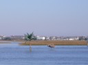P1020112