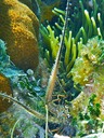 P1020129