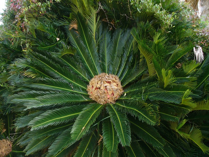 P1020181