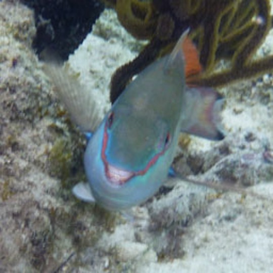 P1020194.jpg