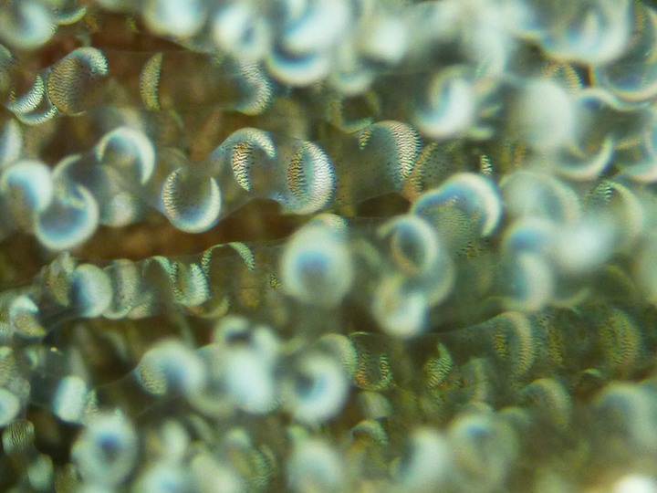 P1020208