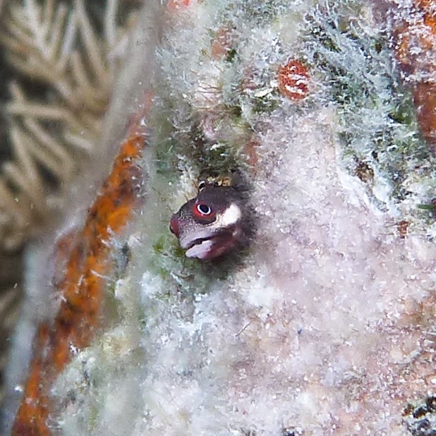 P1020209