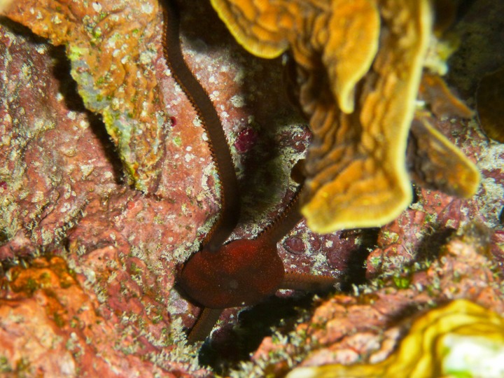 P1020220