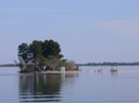 P1020270