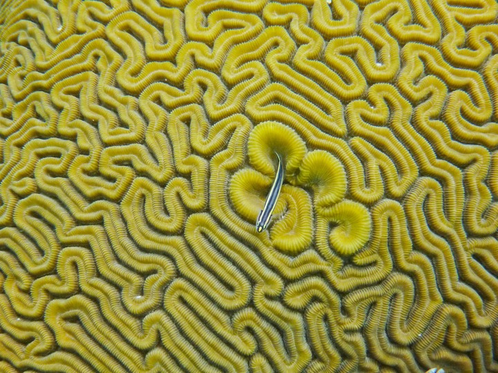 P1020297