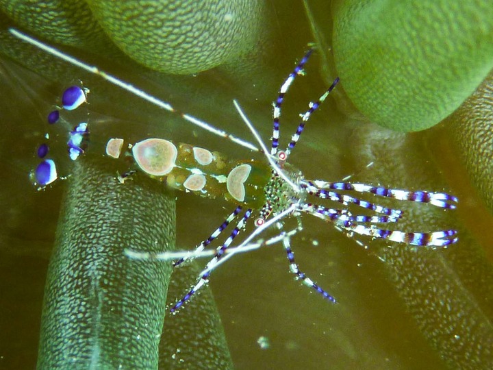 P1020343