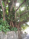 P1020437