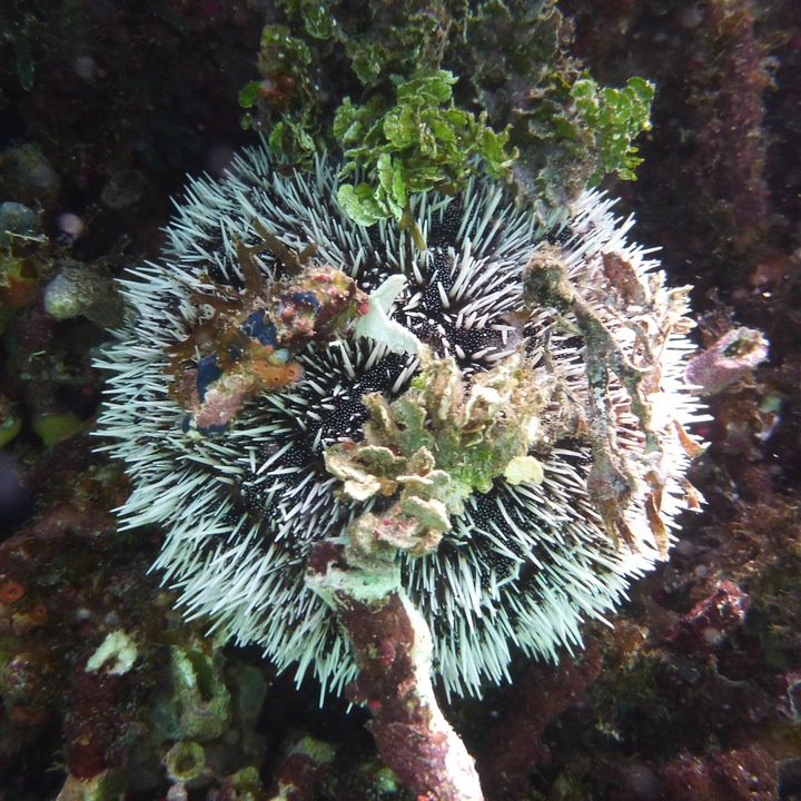 P1020443