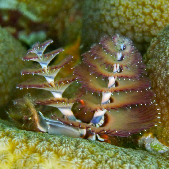 P1020481