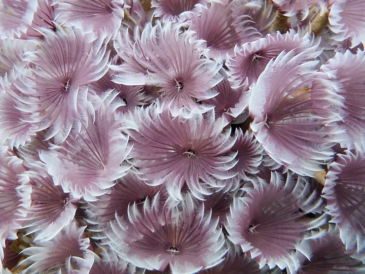 P1020503