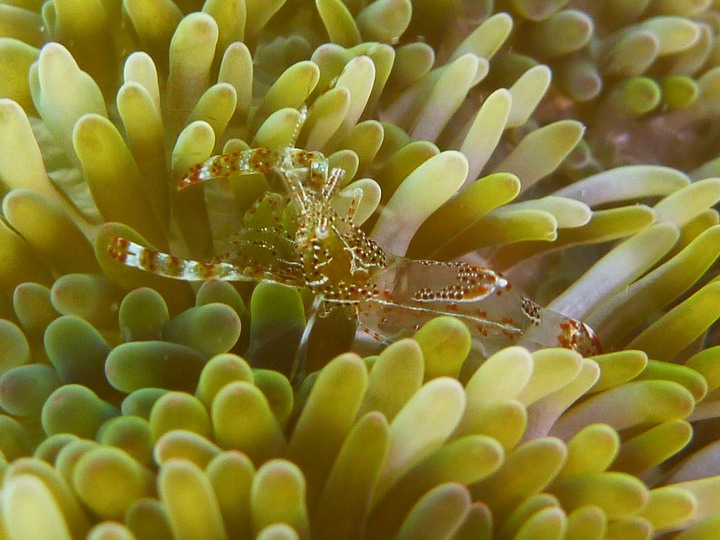 P1020535
