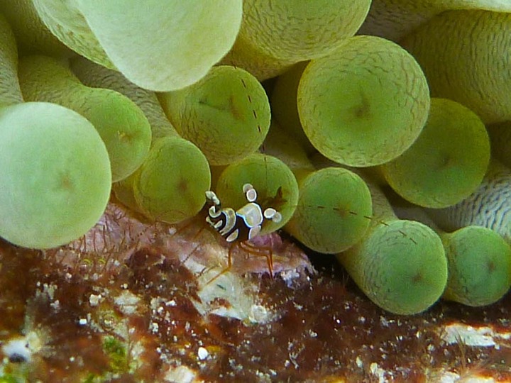 P1020550